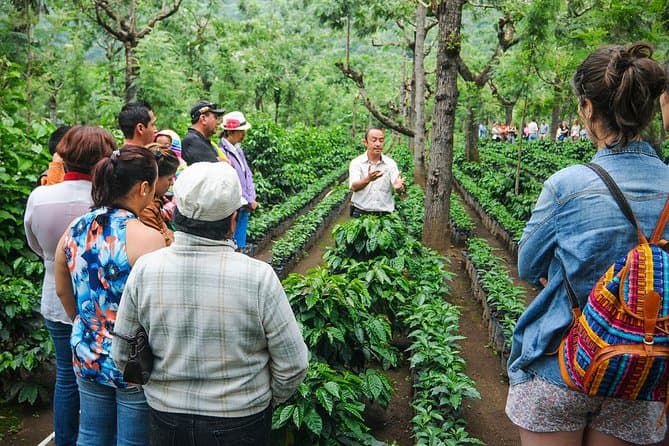 Coffee Tour β Nicaragua